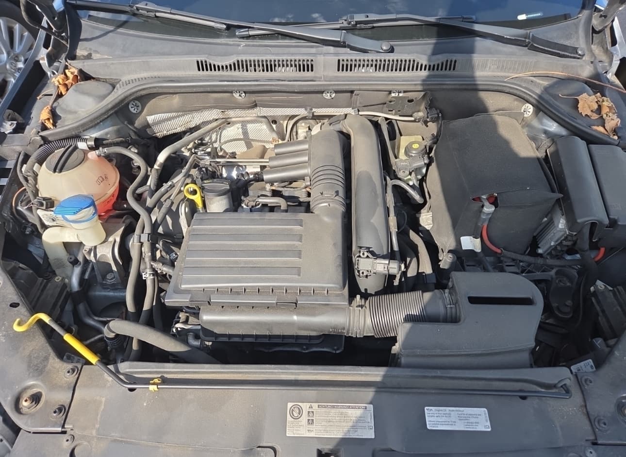 Volkswagen Jetta photo 6
